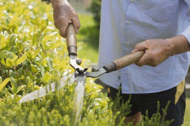 Tuinonderhoud