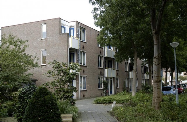 Breedweerlaan 51 - 