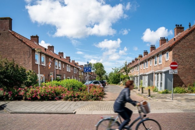 Kom op donderdag 5 juni een plant of struik redden