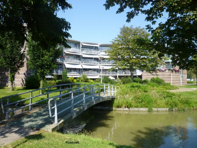 Koekoek 19 - 