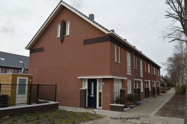 Pieter Breughelstraat 5 - 