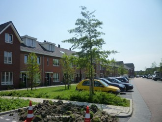 Isa van Eeghenlaan 4 - 