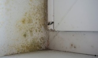 Voorkom problemen met vocht en schimmel in huis