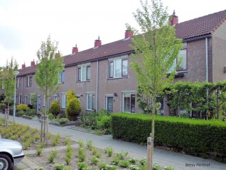Breedweerlaan 155 - 