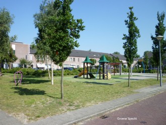 Groene Specht 2 - 